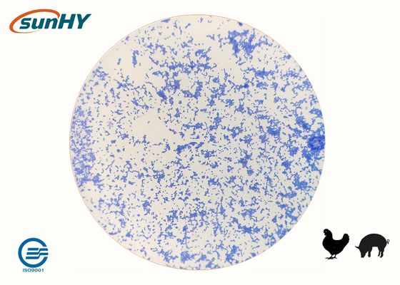 100 Billion Cfu/G Bacteria Enterococcus Faecium Probiotics For Animal Water Soluble