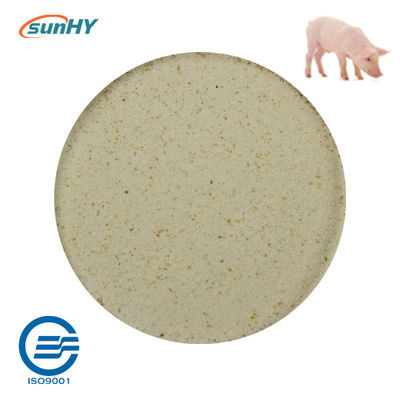 Sunhy Promote Digestion Probiotics For Swine Feed Grade