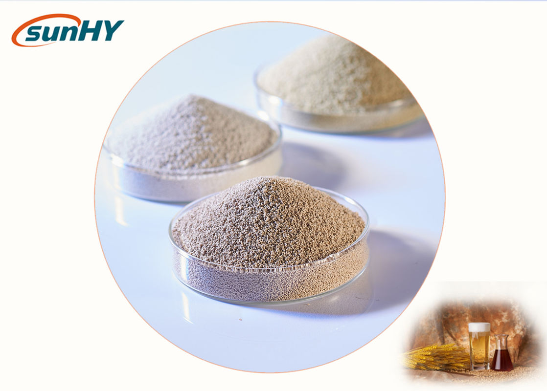 5000 U/G Protein Degrading Enzymes